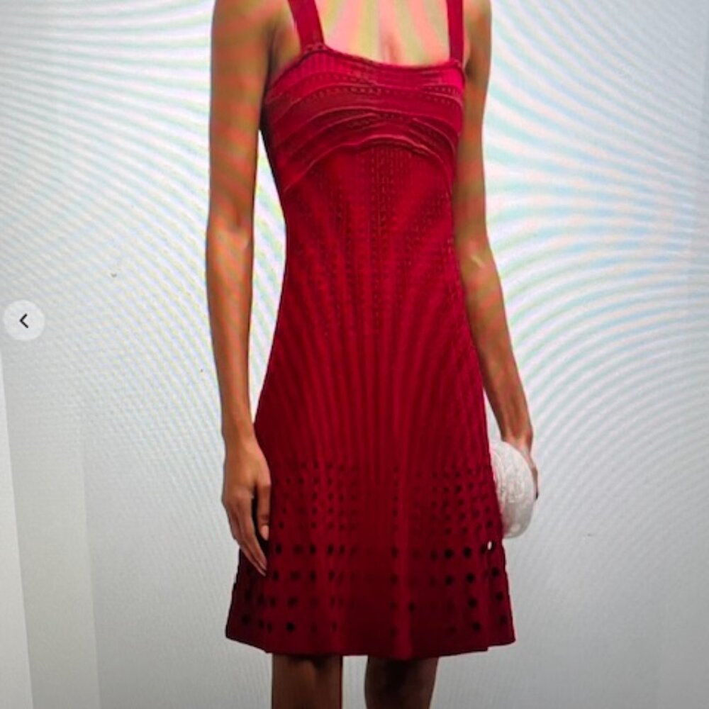 Simkhai franklin crochet mini dress - cherry